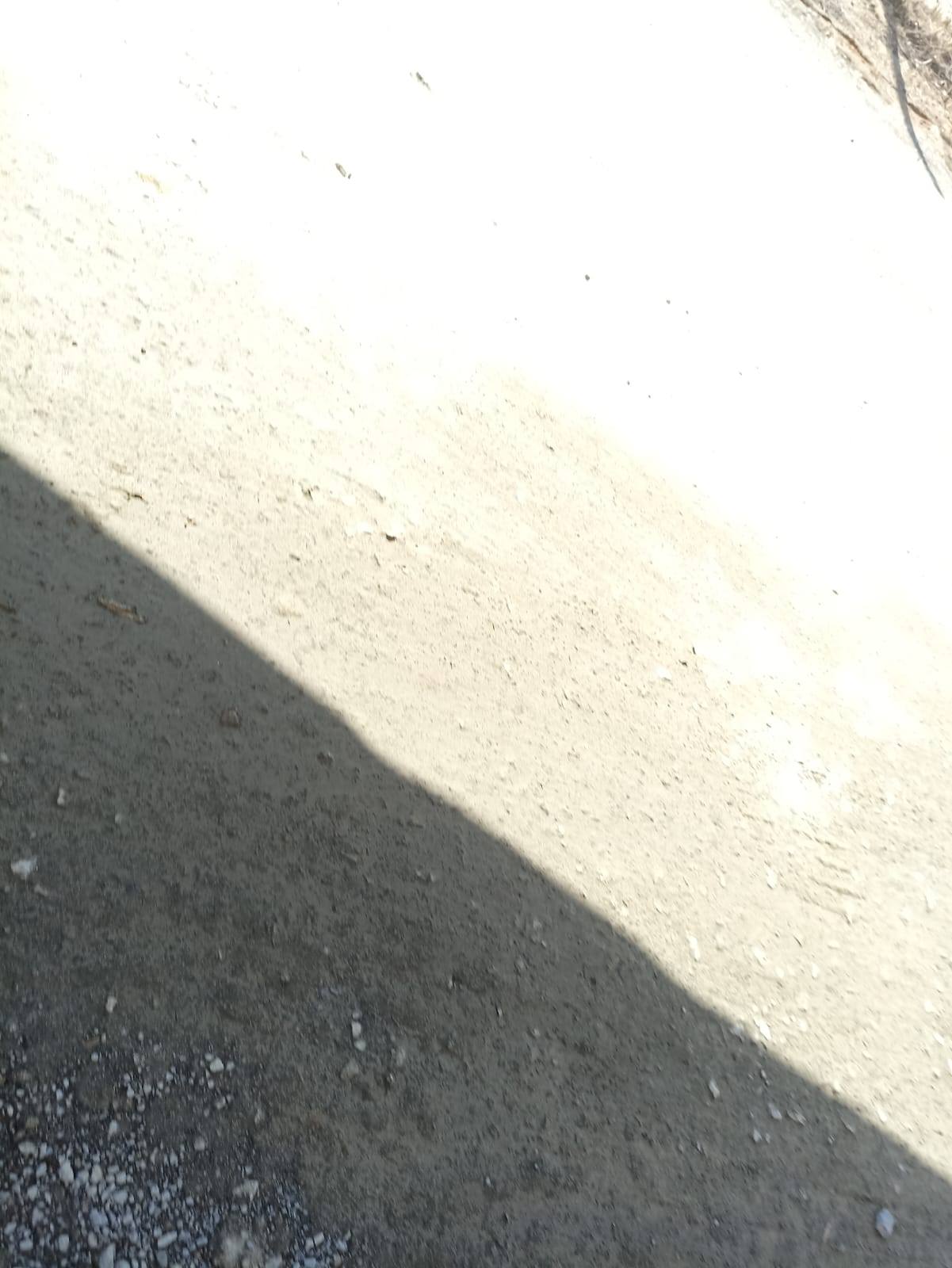 Морской контейнер SEGU1982154